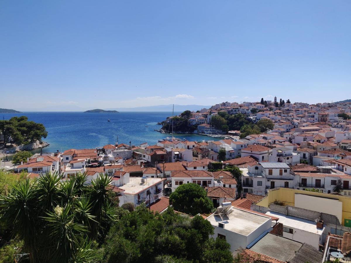 Taxiarchis Apartments Skiathos-Stadt Exterior foto